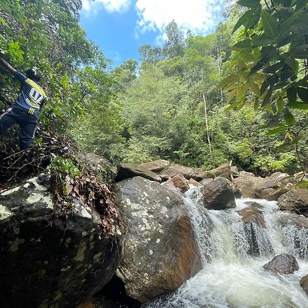 Rainforest Cabin Денияйя Экстерьер фото