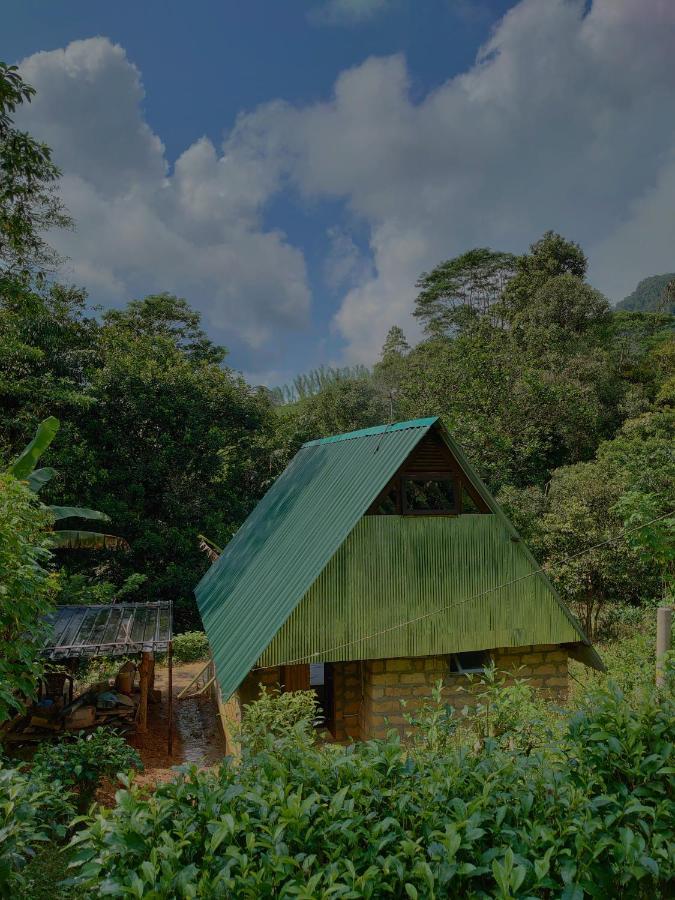 Rainforest Cabin Денияйя Экстерьер фото