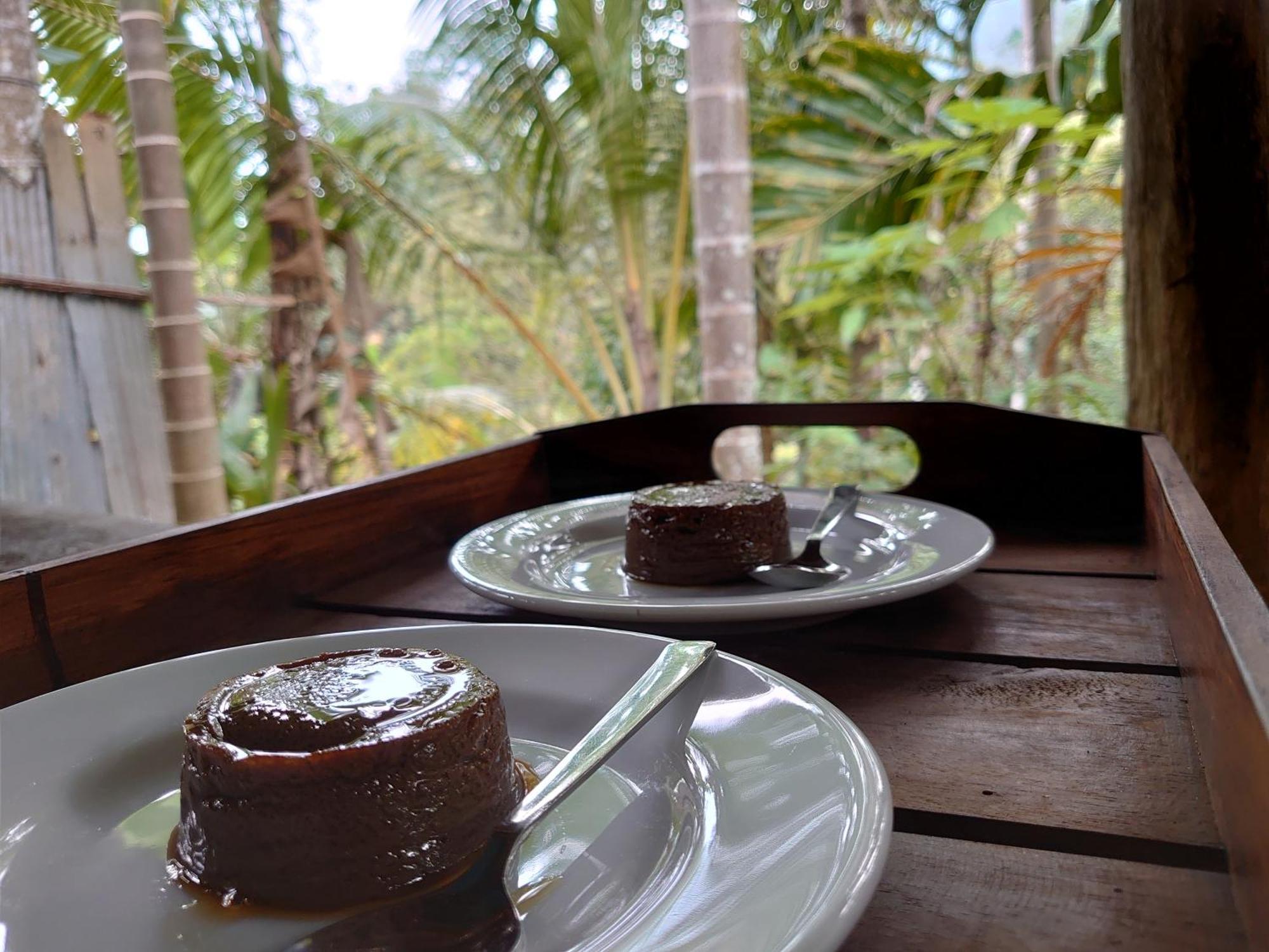 Rainforest Cabin Денияйя Экстерьер фото