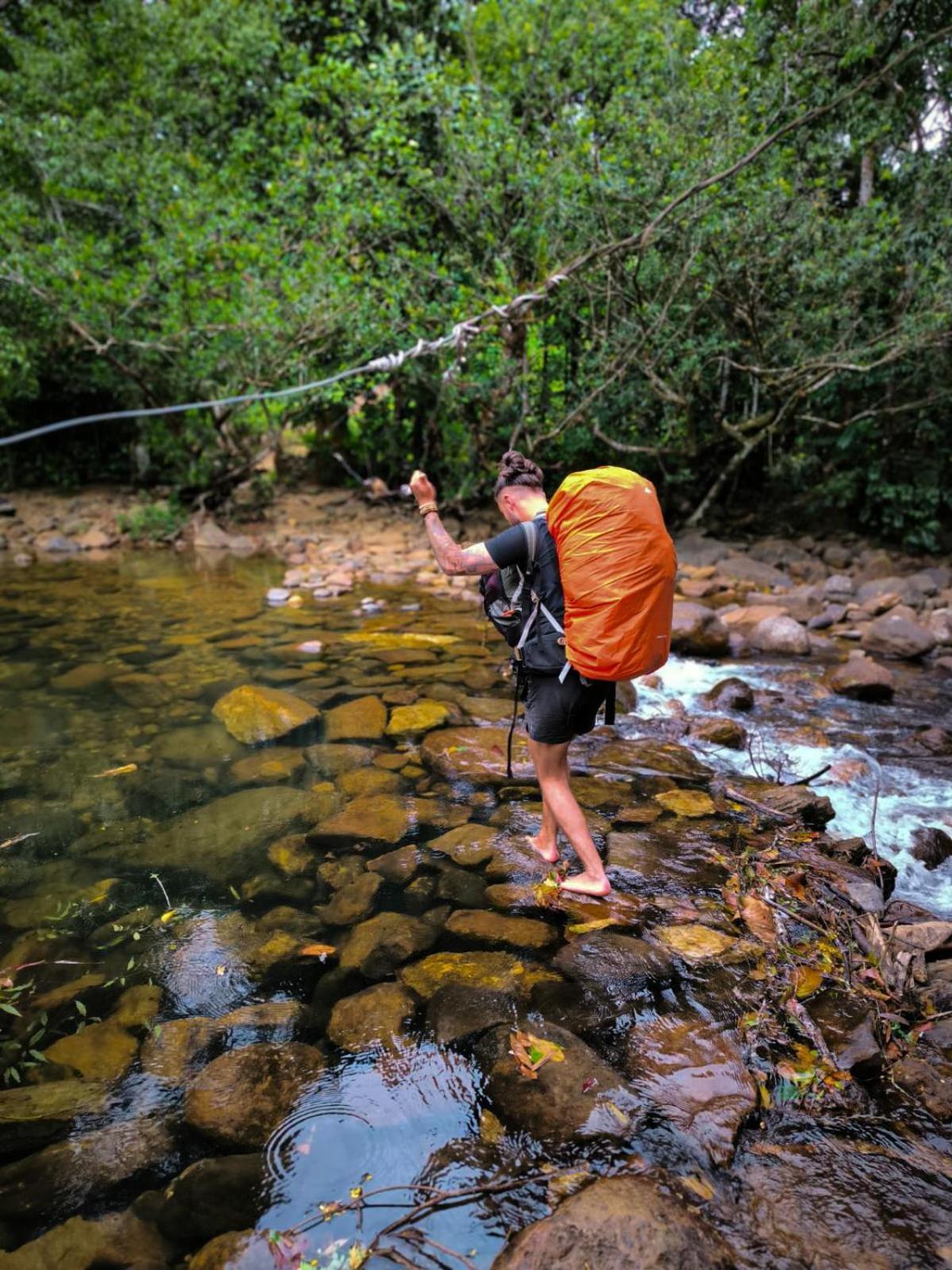 Rainforest Cabin Денияйя Экстерьер фото