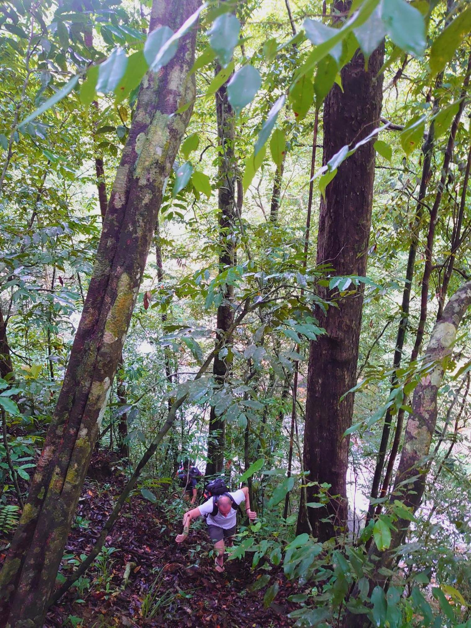 Rainforest Cabin Денияйя Экстерьер фото