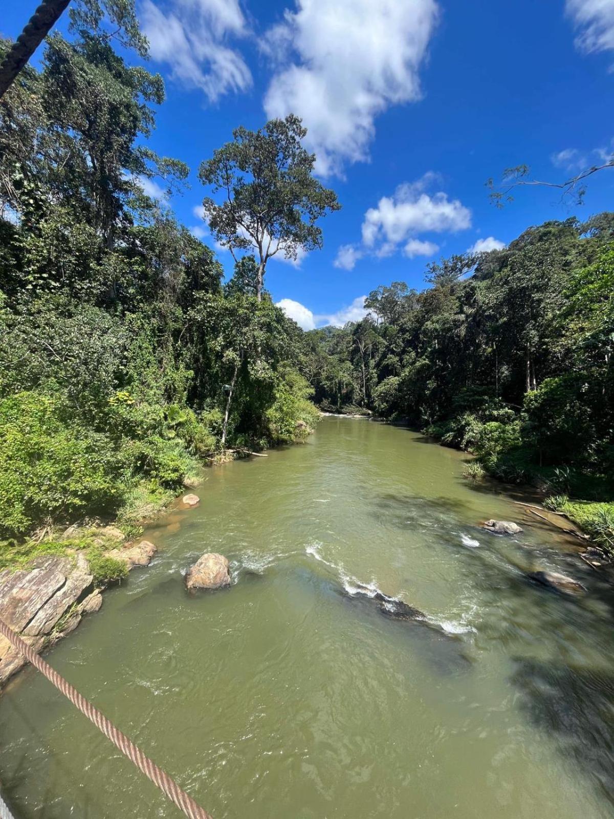Rainforest Cabin Денияйя Экстерьер фото