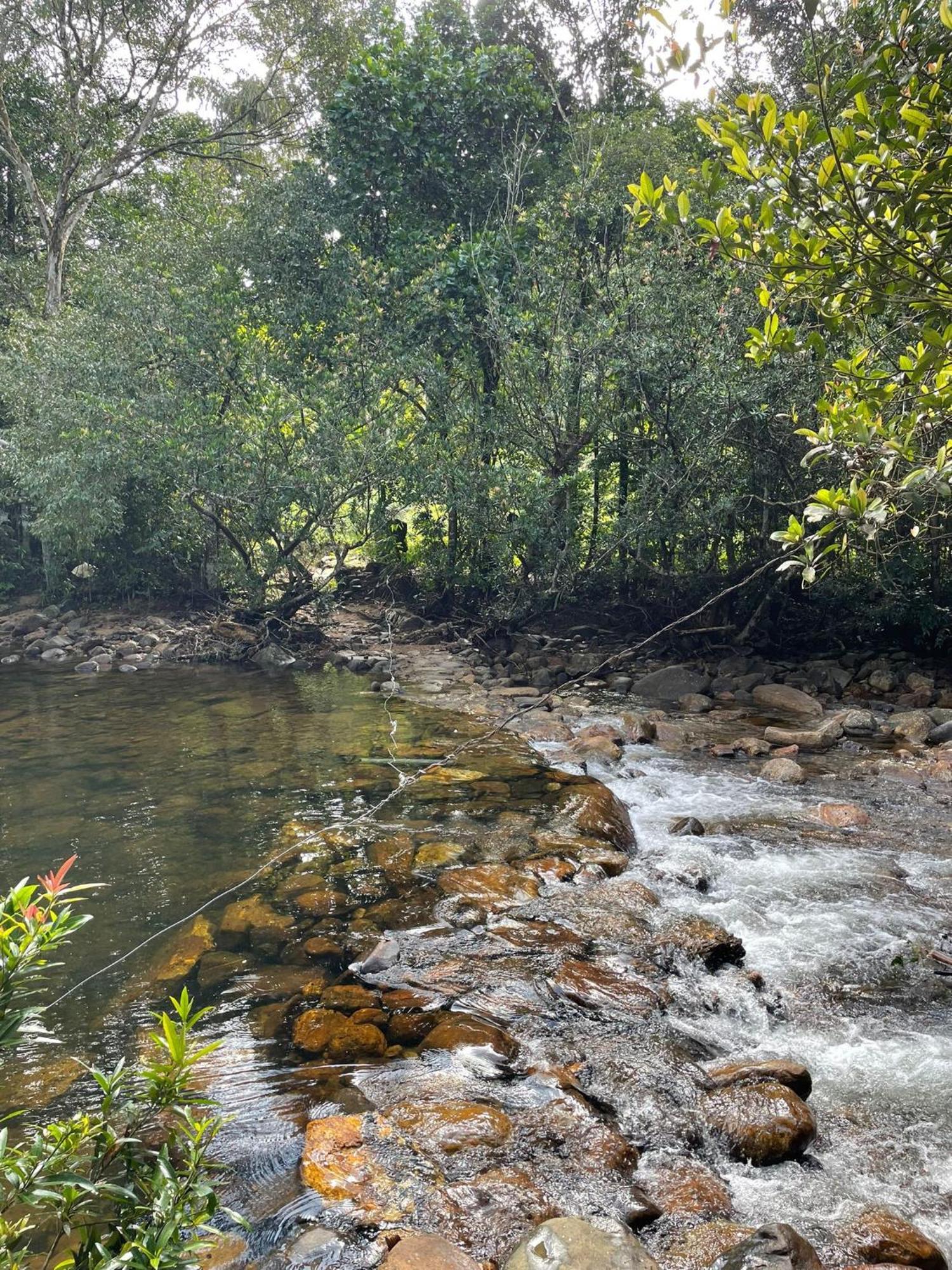 Rainforest Cabin Денияйя Экстерьер фото